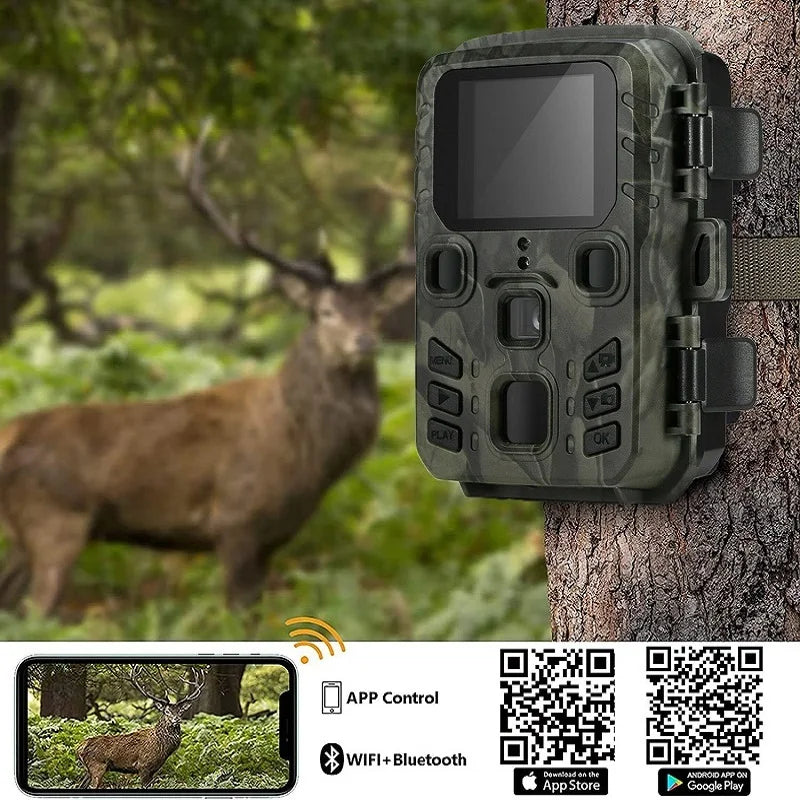 Trail Camera