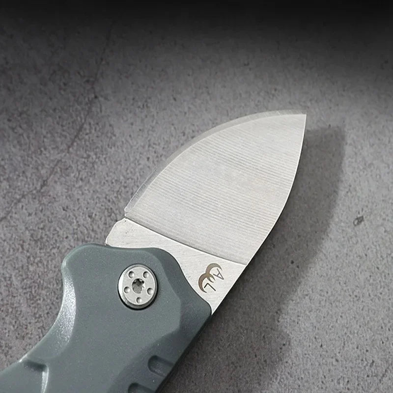 Mini Folding Stainless Steel Pocket Knife